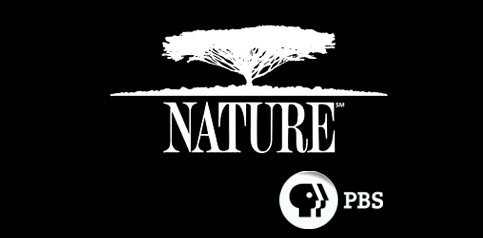 PBS NOVA and Nature